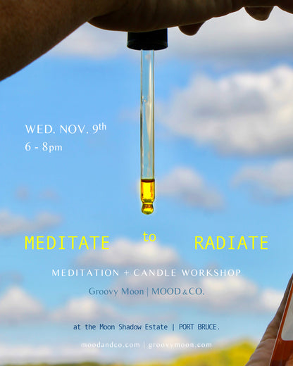 Mediate + Radiate GroovyMoon